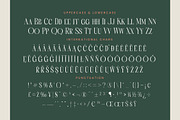 Scarfi Modern All Caps Serif, a Serif Font by timelesstype.co (Thumbnail 18 of 20)