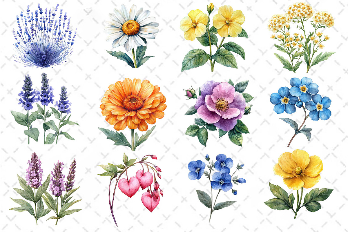 Watercolor Wildflowers Clipart, an Illustration by Dream Creation (Photo 2 of 5)