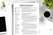 Professional Resume Template Word, a Resume Template by BestResumes.Co (Thumbnail 1 of 7)