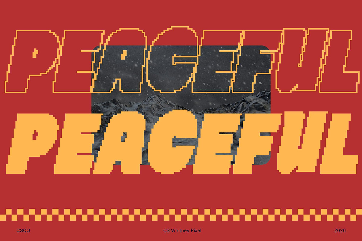 CS Whitney Pixel, a Sans Serif Font by Craft Supply Co. (Photo 3 of 8)