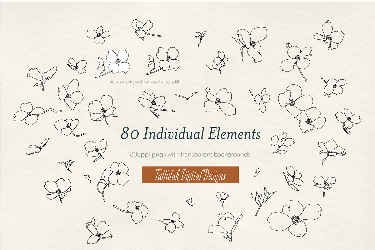 Dogwood Days Hand-drawn Clipart, an Illustration by Tallulah Digital Designs (Photo 3 of 4)