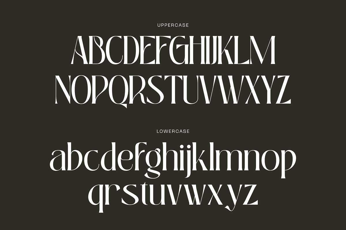 Luxury Logo Font - Bageki, a Serif Font by Nirmana Visual (Photo 3 of 9)