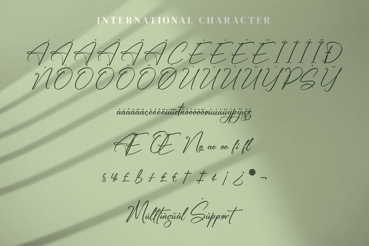 Rikudonata, a Handwritten Font by Integritype Studio (Photo 10 of 15)