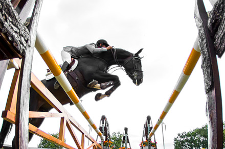 Horse jumping competition stock photo containing active and animal, a Sports & Recreation Photo by MarcoGovel