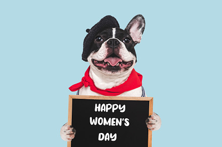 Happy Women's Day. Cute puppy and congratulatory inscription