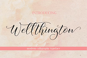 Elegant Script Font Bundle, a Script Font by Byuly Ayika (Thumbnail 33 of 34)