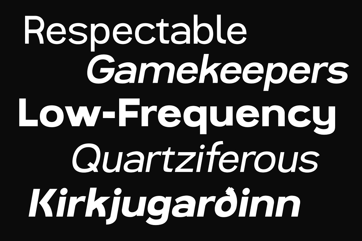 Magnolia Sans Geometric Font Family, a Sans Serif Font by Magnolitype (Photo 5 of 6)