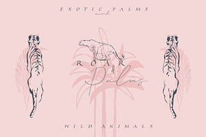 Roar and Palms