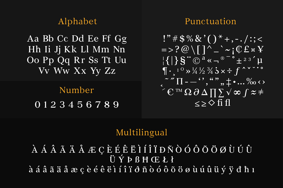 New Platinum - Luxury Serif Font, a Serif Font by Attractype (Photo 12 of 13)