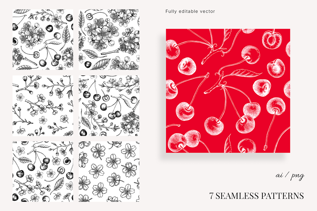 Vintage Cherry Blossom Vector Set, an Object Graphic by Yevheniia (Photo 8 of 9)