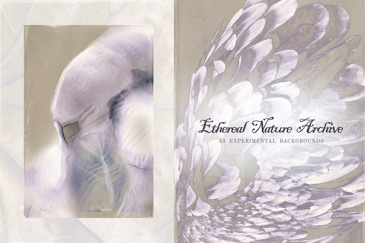 Ethereal Nature Archive Backgrounds, a Background Graphic by Natali Batu (Photo 1 of 9)