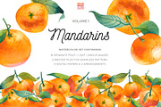 Watercolor Mandarin Fruits Vol. 1, a Food Illustration by Olga Begak Art & Design (Thumbnail 1 of 10)