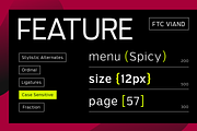 Viand — A Versatile Sans with Flavor, a Sans Serif Font by Fridaytype (Thumbnail 14 of 15)