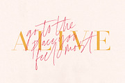 Coral Blush Font Duo, a Serif Font by Sam Parrett (Thumbnail 3 of 10)