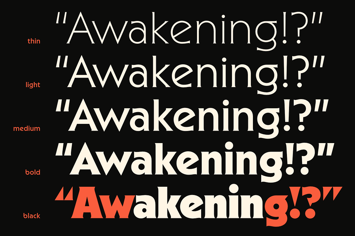 Sable Complete Family, a Serif Font by Jonathan Ball (Photo 7 of 7)