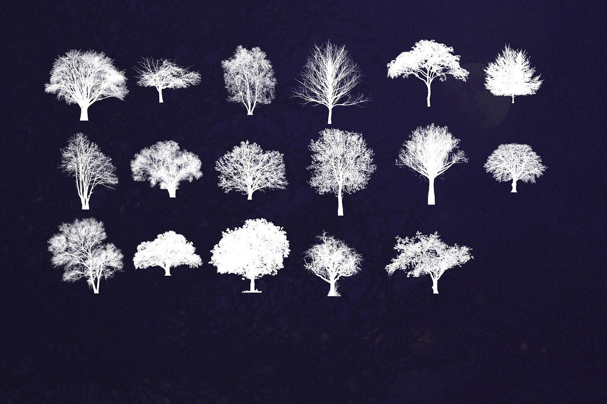89 Procreate tree stamps brushes, a Brush Add-On by Endete & Mazak brushes (Photo 5 of 5)