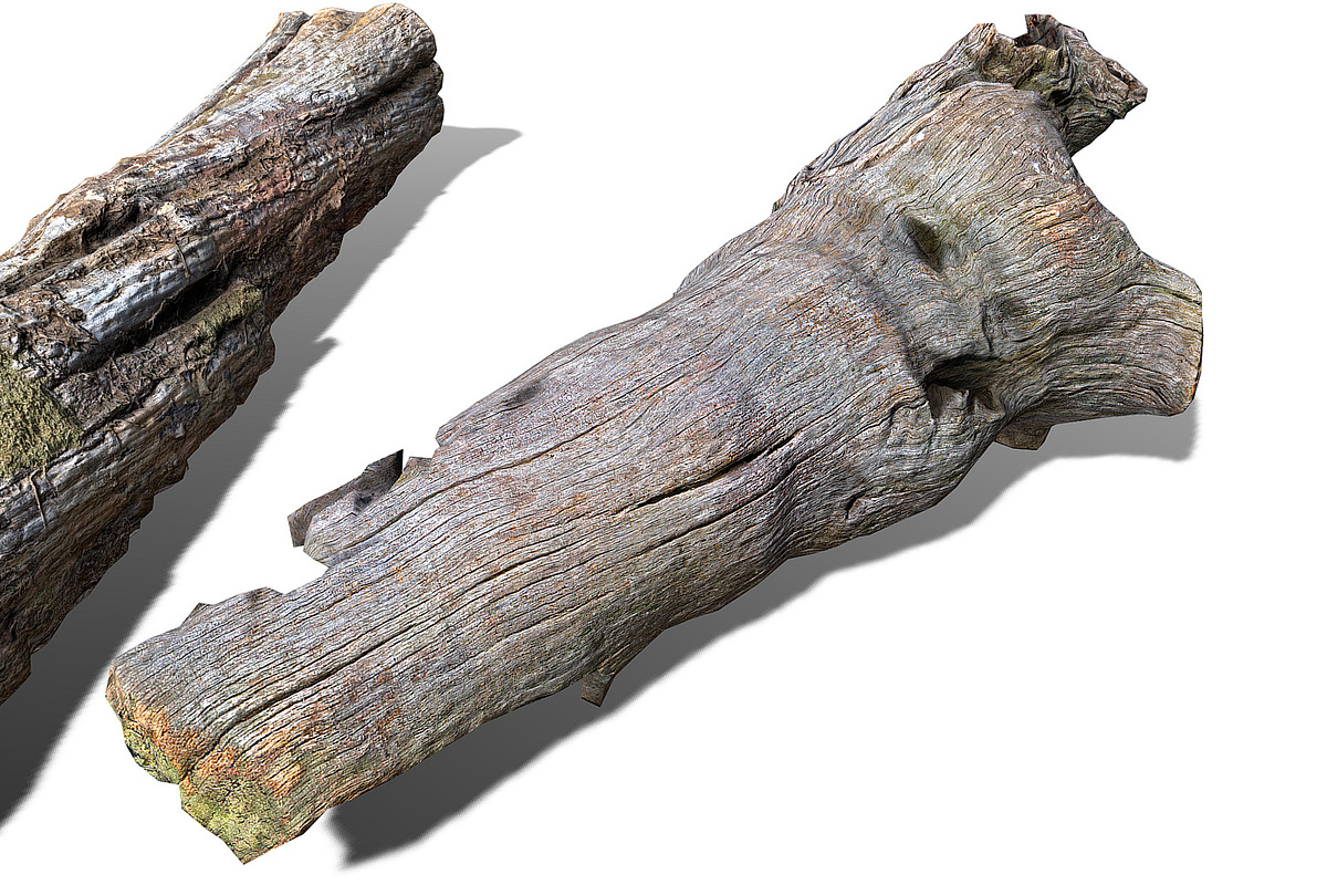 13 Tree Logs, an Environmental 3D Model by Beatheart Creative Studio (Photo 23 of 37)