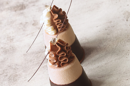 Coffee Chocolate Mini Mousse Cakes