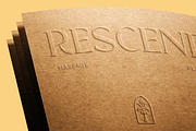 Windels - Elegant Serif Logo Font, a Serif Font by Pekotype (Thumbnail 12 of 15)