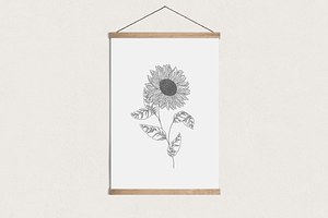 Summer Sunflowers Vector Graphics