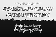 Handicart – A Charming Handwritten, a Handwritten Font by overlaytemplates (Thumbnail 4 of 6)