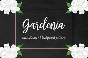 Gardenia Flower Clipart