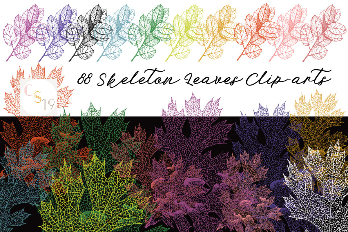 88 Skeleton Leaves PNG, an Object Graphic by Alexandra Fulger (Photo 1 of 6)