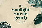 Madrich - Modern Serif Font, a Serif Font by Almeera Std (Thumbnail 2 of 10)