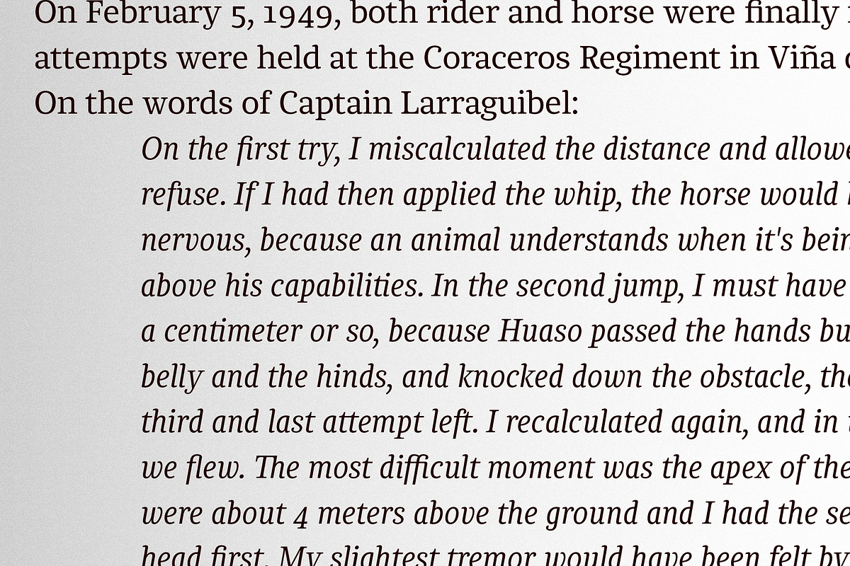Chucara next, a Serif Font by Letritas (Photo 12 of 14)
