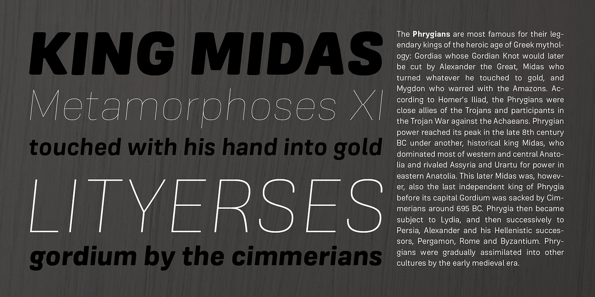 Frygia, a Sans Serif Font by Stawix (Photo 2 of 8)