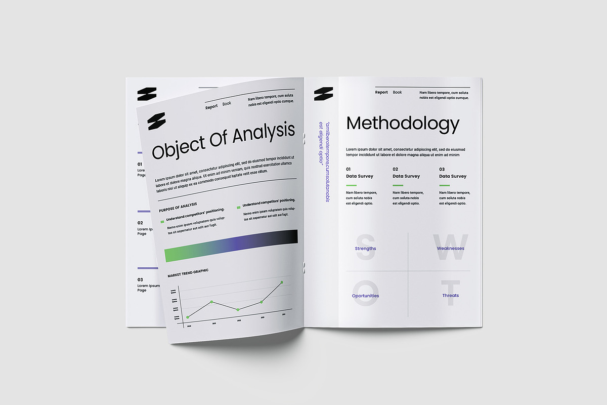 Project Competitor Analysis Template, a Brochure Template by TMint Play (Photo 5 of 8)