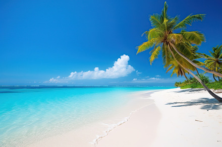 Illustrative of tropical beach with ocean, blue sky, green palm trees and white, a Nature Photo by AlyaAnd