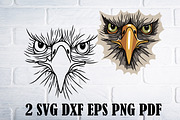 Eagle svg png dxf, bird clipart, an Animal Illustration by Bila Vorona (Thumbnail 1 of 7)