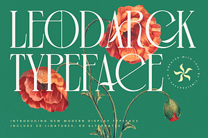 Leodarck New Modern Display Typeface