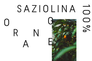 SAZIOLINA / DISPLAY LOGO FONT