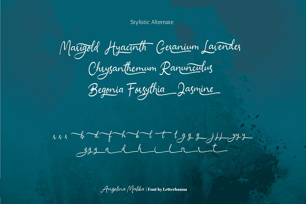 Angelina Malika Font, a Handwritten Font by Letterhanna Studio (Photo 7 of 15)