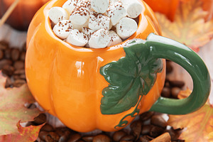 Pumpkin shaped mug with hot chocolate and marshmallows, a Food & Drink Photo by Olena Rudo