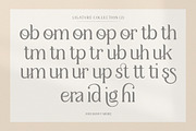Sulangor, a Serif Font by Mantype Studio (Thumbnail 10 of 14)