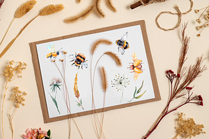 Insects And Flowers. Watercolor Set