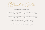 David and Sovhie, a Script Font by Silverdav (Thumbnail 7 of 7)