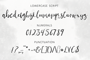 Demilo Brush Script With Swashes, a Script Font by Wooly Pronto (Thumbnail 3 of 6)