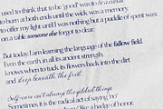Cottage Dreams - Vintage Font Family, a Handwritten Font by AndrewPixelType (Thumbnail 5 of 11)