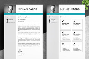 Sales Manager Resume Template Format