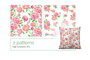 Watercolor peonies, an Illustration by ognivo (Thumbnail 4 of 5)