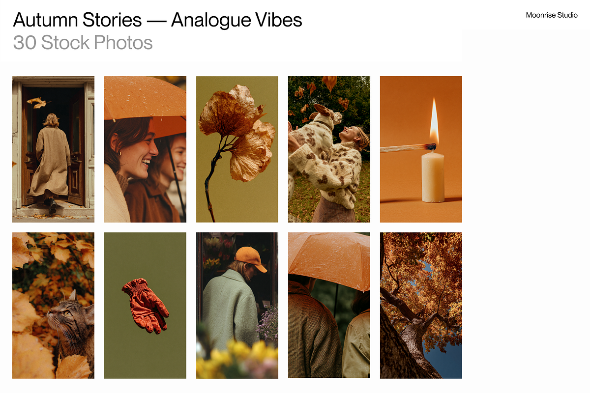 Fall Stock Photos (30 Images), a Person Photo by MoonRise Studio (Photo 3 of 5)