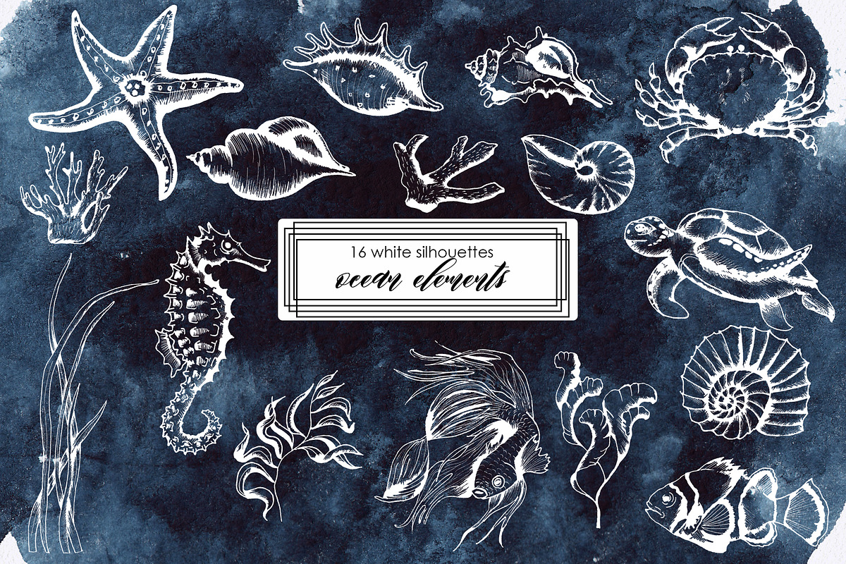 Ocean & sea underwater life, an Object Graphic by Ana-Sakuta (Photo 14 of 18)