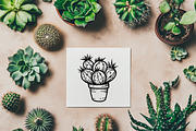 Cactus SVG Bundle | Succulent Art, an Illustration by Dervik Art Store (Thumbnail 3 of 8)