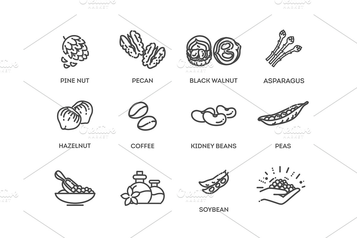 Nuts and Beans Icons, a Food Illustration by Tettygreen (Photo 3 of 3)