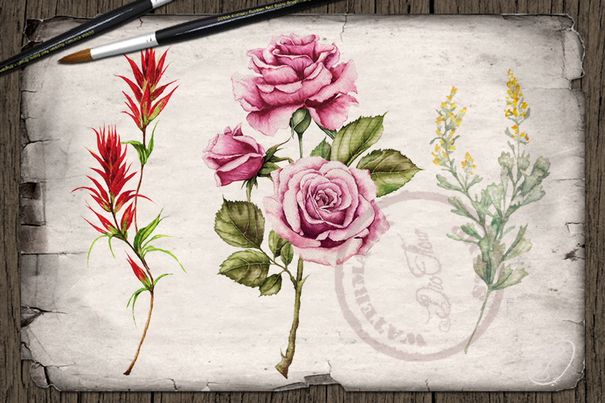 US State Flowers Part 5 Illustration, an Illustration by DioFlow (Photo 3 of 4)