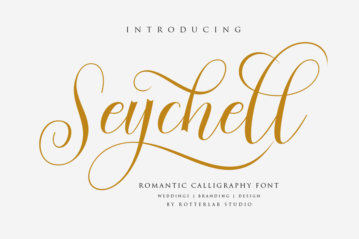 Seychell  Script, a Script Font by Rotterlab Studio (Photo 1 of 8)